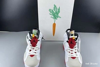 Jordan 6 CT8529-062 Air “Hare” Minimalist 675 0918